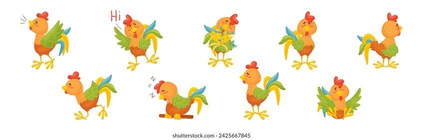 Funny Rooster or Cockerel Character in Different Pose Vector Set