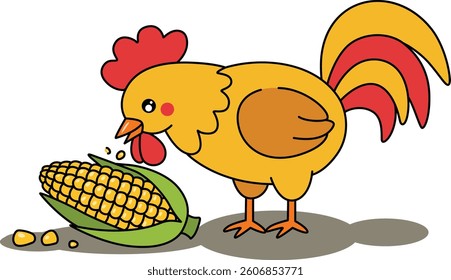 Funny rooster eating a cob of sweet corn