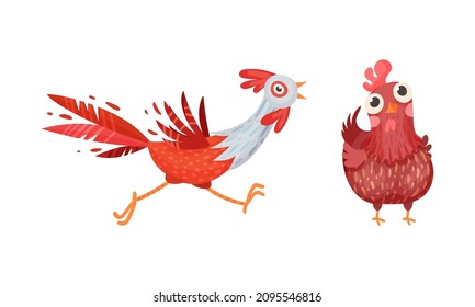 Funny rooster and hen, farm birds poultry breeding cartoon vector illustration