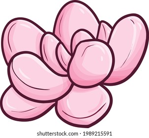 Funny rounded pink succulent in doodle style