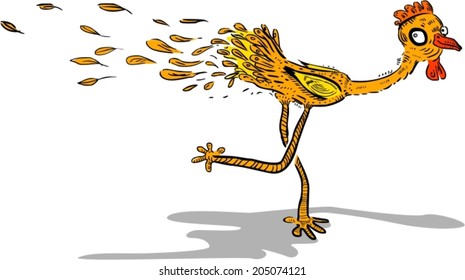 Funny running chicken