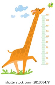 Funny running giraffe run across the grass behind the bird. Meter wall or height meter from 50 to 140 centimeter