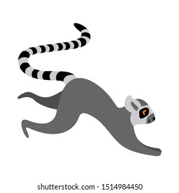 Funny running lemur. Cute african character isolated on white background. Flat vector illustration.
