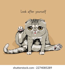 The Funny sad pet. The cat washes. Scottish Fold. Humor card, t-shirt composition, meme, hand drawn style print. Vector illustration.
