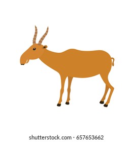 Funny Saiga Antelope