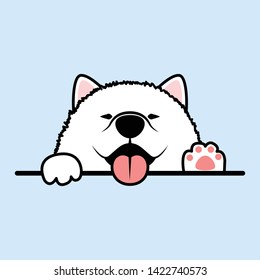Funny samoyed puppy paws up over wall, vector illustration