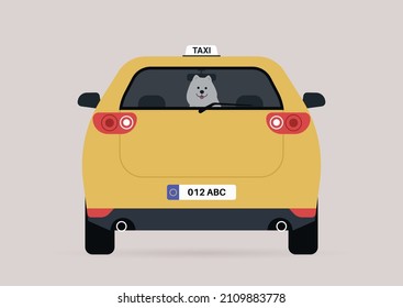 A funny Samoyed puppy sitting on a backseat of a taxi car