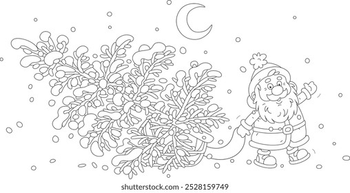 Funny Santa Claus pulling his sleigh with a beautiful Christmas tree from a winter forest to decorate for merry holidays, black and white vector cartoon illustration for a coloring book