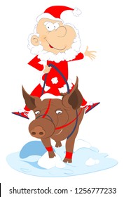 Funny Santa Claus rides on the pig illustration. Cartoon Santa Claus rides on the smiling pig isolated on white illustration
