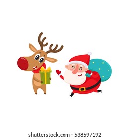 funny Santa and funny reindeer holding Christmas gifts, cartoon vector illustration isolated on white background. Santa Claus and deer, Christmas attributes, holiday decoration elements