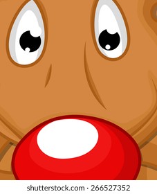 Funny Scared Animal Face Close Up