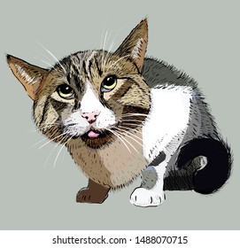 funny scared cat stuck out his tongue vector