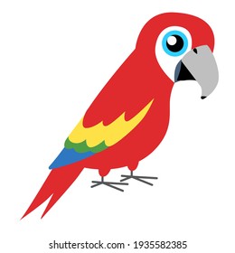 Funny Scarlet macaw bird, vector art illustration