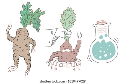 Divertido grito de mandrake. Carácter lindo. Ilustración vectorial. Planta mágica