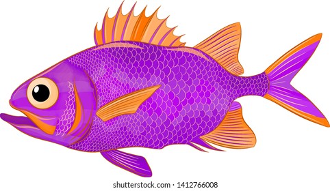 funny sea bass orange purple vector