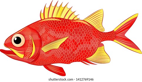 funny sea bass red yellow vector