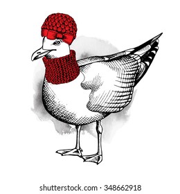 Funny seagull in a red knitted hat and scarf. Vector illustration.
