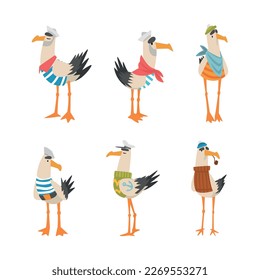 Divertidos marineros de gaviota. Personajes de pájaros en ilustración vectorial de caricatura de capitán