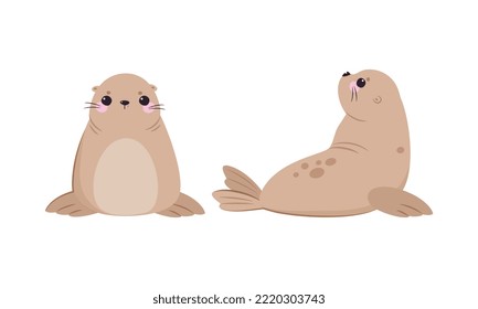 Funny Seal with Cute Snout Having Beige Fur and Fins Sitting and Lying Vector Set