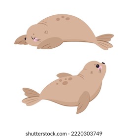 Funny Seal with Cute Snout Having Beige Fur and Fins Lying Vector Set