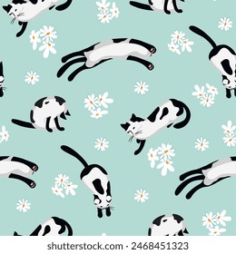 Divertido patrón sin costuras con gatos blancos y negros rodeados de margaritas. Fondo animal color azul con mascotas lindas y flores. Diseño de Vector para imprimir en tela y papel, cubierta, decoración de vivero.