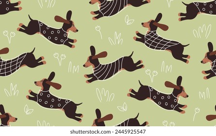 Divertido patrón sin fisuras con lindo perro dachshund y Elementos de garabatos. Dibujos animados personajes animales y línea dibujada ropa y plantas. Diseño de Vector para imprimir en tela y papel, Fondo de pantalla, cubierta, fondo