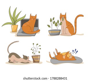 Funny Set Of Drawn Vector Cats At Home. Red Cat, Tabby Cat, Cat With Spots. The Interaction Of Cats With Plants.