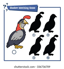 funny shadow quail educational kids game. Vector illustration of shadow matching educational kids game with happy cartoon  quail for children