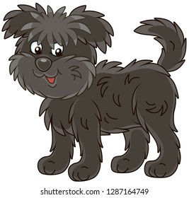Funny and shaggy dog Affenpincher friendly smiling, vector illustrations in a cartoon style