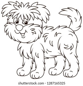 Funny and shaggy dog Affenpincher friendly smiling, black and white outline vector illustrations in a cartoon style for a coloring book