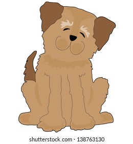A funny shaggy dog is tilting his head and smiling
