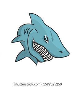 Funny Shark looking front view