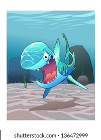 Funny Shark The Ocean Floor