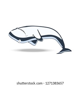 funny shark on a white background vector
