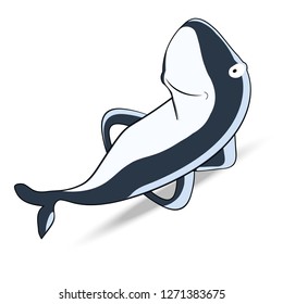 funny shark on a white background vector