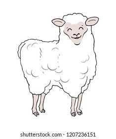 funny sheep draw
