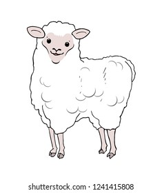 funny sheep draw