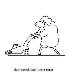 Funny sheep mows the grass with a lawn mower and makes lawn. Comic doodle vector animal illustration isolated on white background. Black outline image.