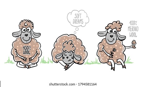 Funny sheeps illustration with sleeping and sitting sheep, sheep with flower and piece of wool - 100% wool