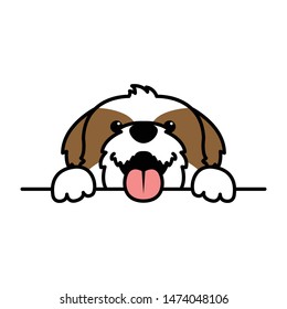 Funny shih tzu dog paws up over wall, vector illustration