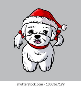 funny shih tzu dog wearing santa claus christmas costume