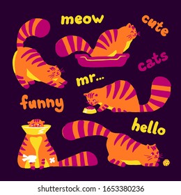 Funny shy cats, set of illustrations color orange and pink characters on a dark background. Flat hand drawn cartoon style cute kitten collection for t-shirts, web, children's room design. Vector
