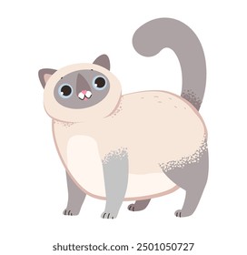 Funny Siamese cat. Fluffy cat isolated on a white background. Flat vector illustration.