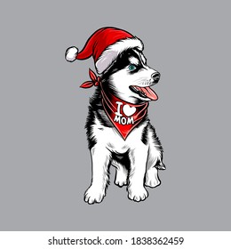 funny Siberian Husky dog wearing santa claus christmas costume