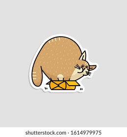 Funny silly fat cat character trying to hide in small box, sketch cartoon vector illustration isolated on background. Sticker or print design with domestic animal.