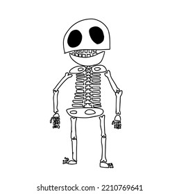 Un gracioso esqueleto. Un personaje lindo dibujado a mano. Esbozo. Ilustración del doodle vectorial