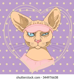 Funny sleepy sphinx cat
