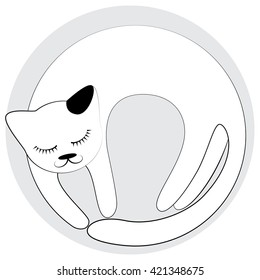 funny slipping cat 