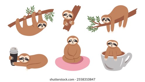 Funny sloth animals collection in rainforest. Hand drawn tropical bears character relaxing in greenery, sitting and hanging on branch