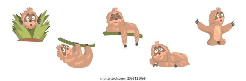 Funny Sloth Character Engaged in Different Activity Vector Set